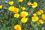 photo thumbnail #10