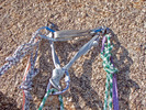 photo thumbnail #5