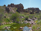 photo thumbnail #1