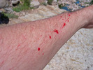 photo thumbnail #3
