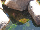 photo thumbnail #15