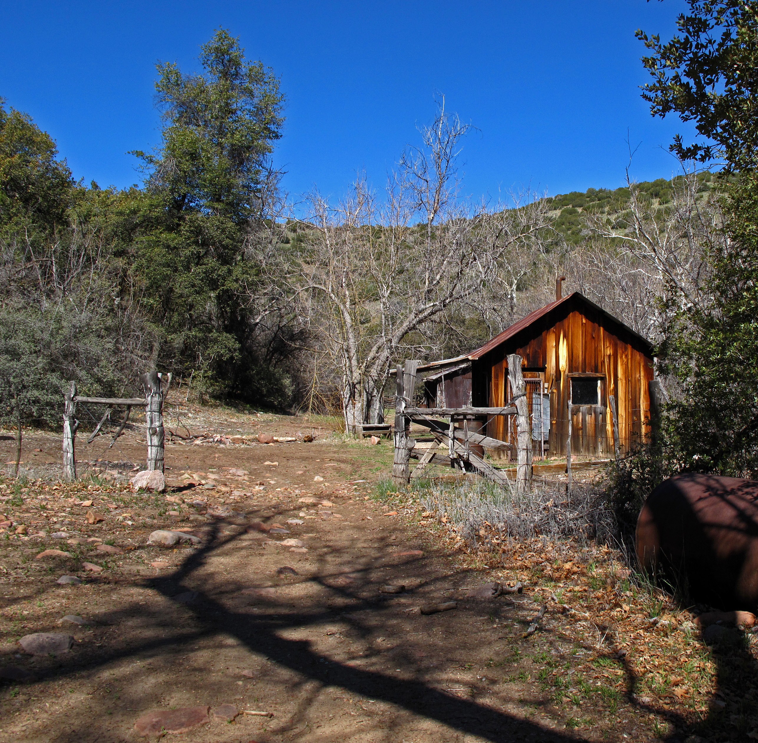 Boyer Cabin Trail 148 Az Hikearizona
