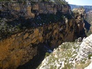photo thumbnail #12