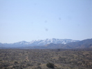 photo thumbnail #3