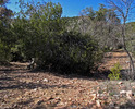 photo thumbnail #13