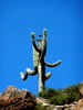 photo thumbnail #13