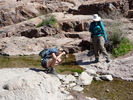 photo thumbnail #1