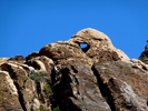 photo thumbnail #6