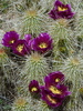 photo thumbnail #12