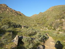 photo thumbnail #3