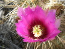 photo thumbnail #12