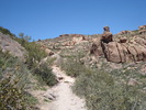 photo thumbnail #9