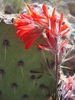 photo thumbnail #12