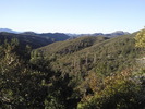 recent photo