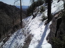 recent photo
