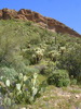 photo thumbnail #1