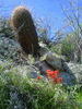 photo thumbnail #4