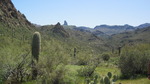 photo thumbnail #6