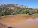 photo thumbnail #10