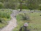 photo thumbnail #11