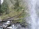 photo thumbnail #10
