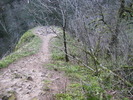 photo thumbnail #12