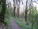 photo thumbnail #13