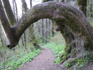 photo thumbnail #14
