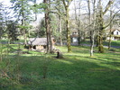 photo thumbnail #15