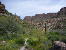photo thumbnail #7
