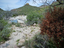 photo thumbnail #10