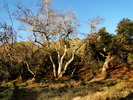 photo thumbnail #4