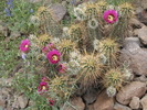photo thumbnail #7