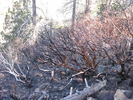 photo thumbnail #9