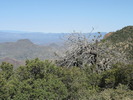 photo thumbnail #10
