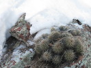 photo thumbnail #12