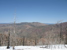 recent photo