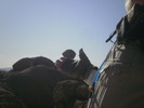 photo thumbnail #8