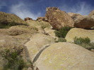 photo thumbnail #13