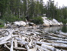 photo thumbnail #7