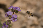 Featured Detail Photo