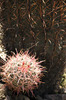 photo thumbnail #6
