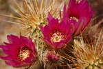 photo thumbnail #7