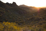 photo thumbnail #1
