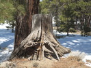 photo thumbnail #1