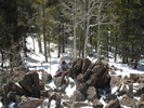 photo thumbnail #3