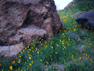 photo thumbnail #7