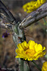 photo thumbnail #15