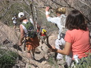photo thumbnail #9