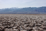 photo thumbnail #13